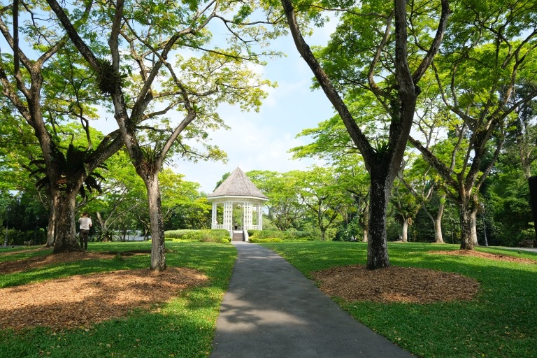 singapore-botanical-garden
