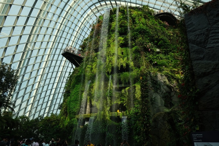 singapore-the-flower-dome-garden-by-the-bay