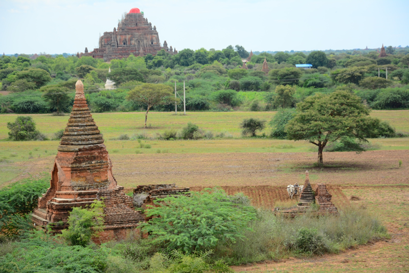 myanmar-travel-bagan-temples
